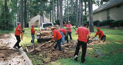home tree service.